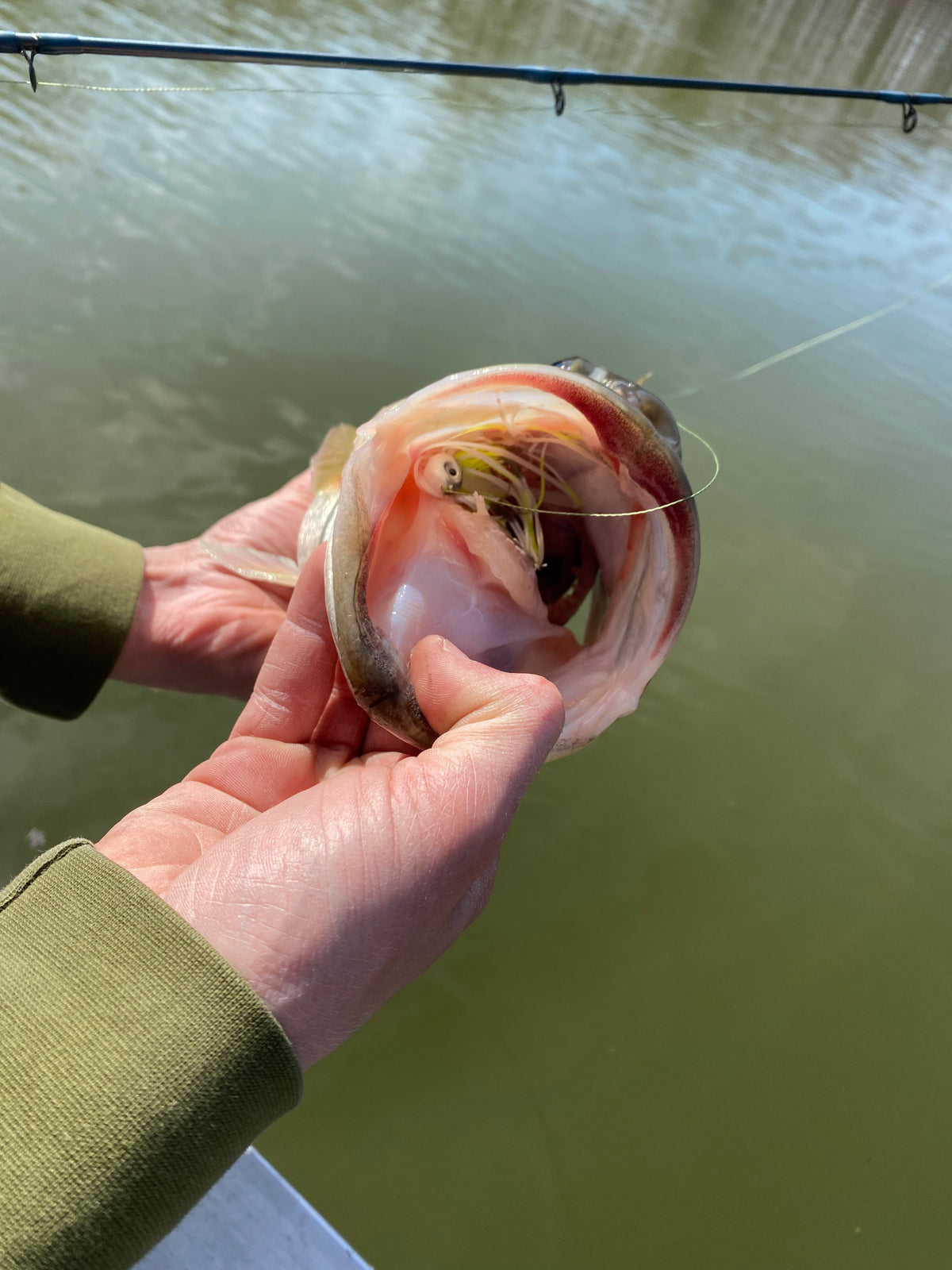 Catch photo