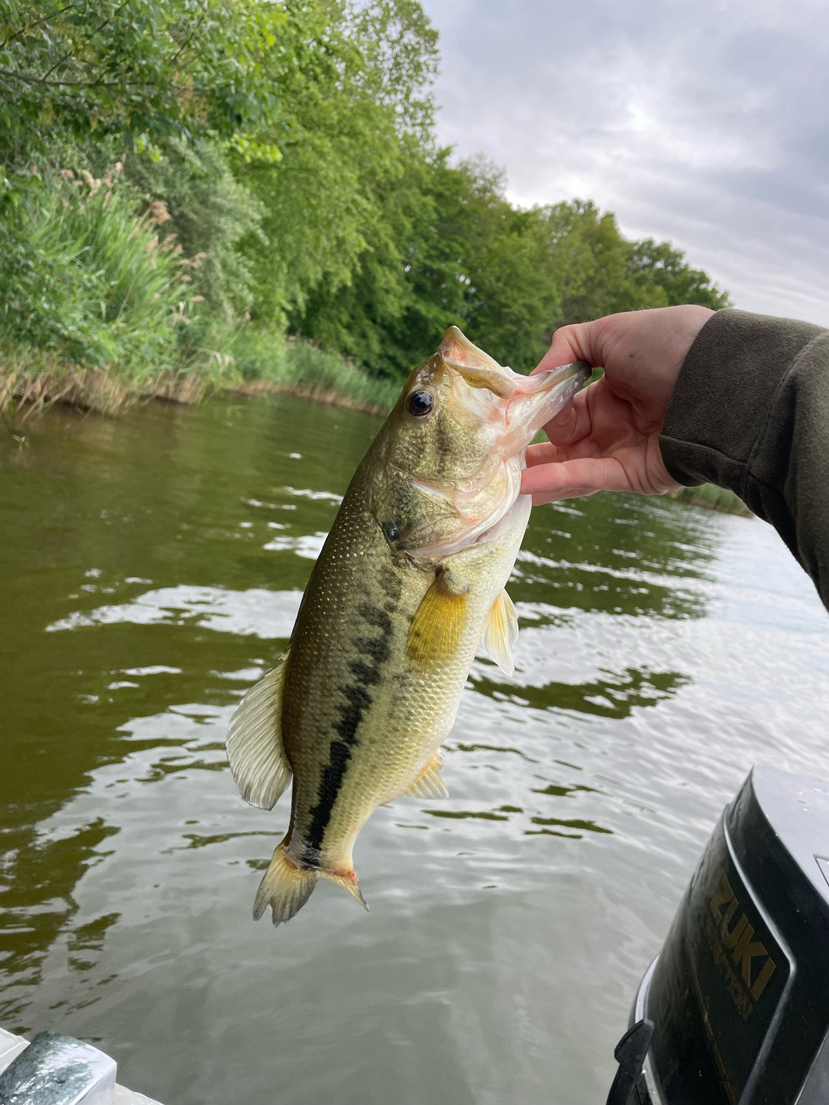 Catch photo