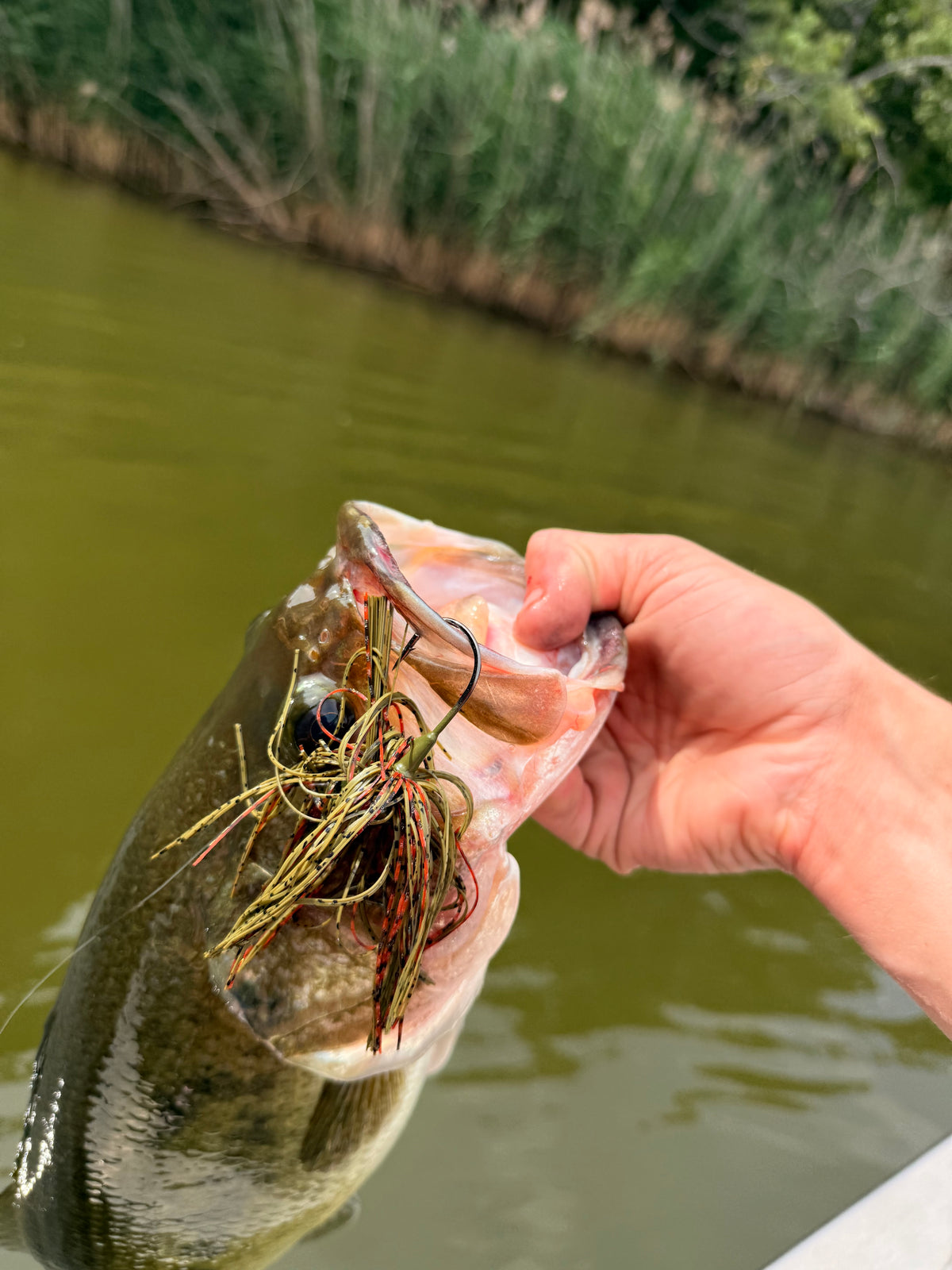 Catch photo